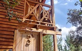 Cabana En El Bosque De San Jose Del Pacifico 3